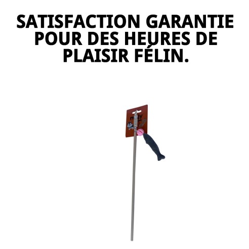 Canne interactive de 40 cm avec petit poisson pour le divertissement des animaux de compagnie.