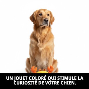 Jouet Crabe pour Chiens - Collection Printemps Été 2