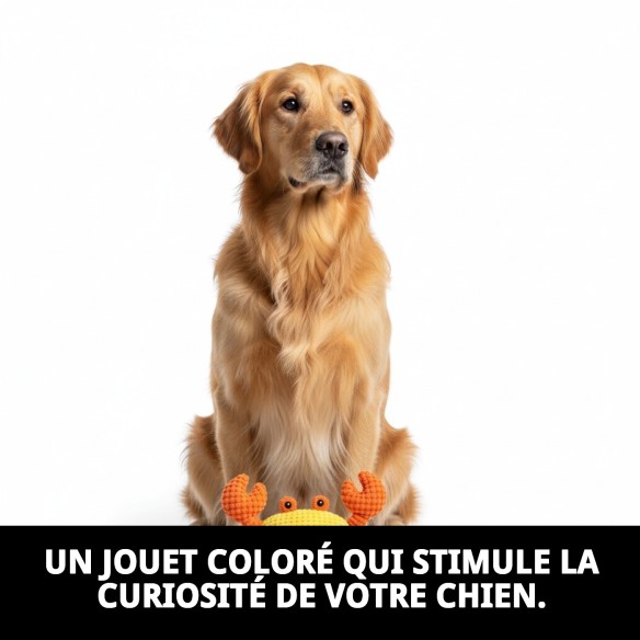 Jouet Crabe pour Chiens - Collection Printemps Été
