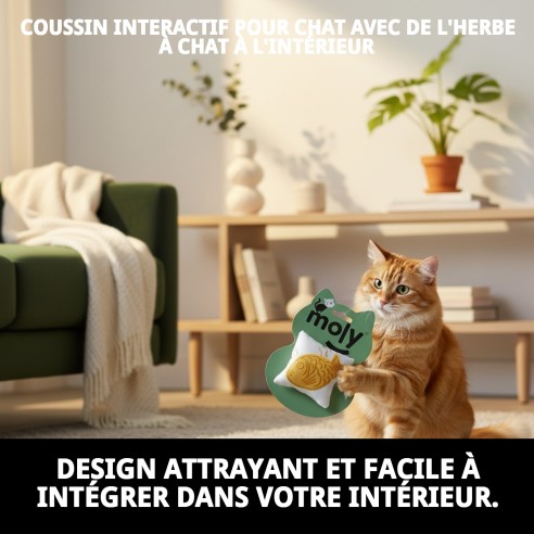Coussin interactif pour chat avec de l'herbe à chat - Amusement garanti