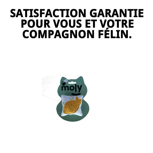 Coussin interactif pour chat avec de l'herbe à chat - Amusement garanti