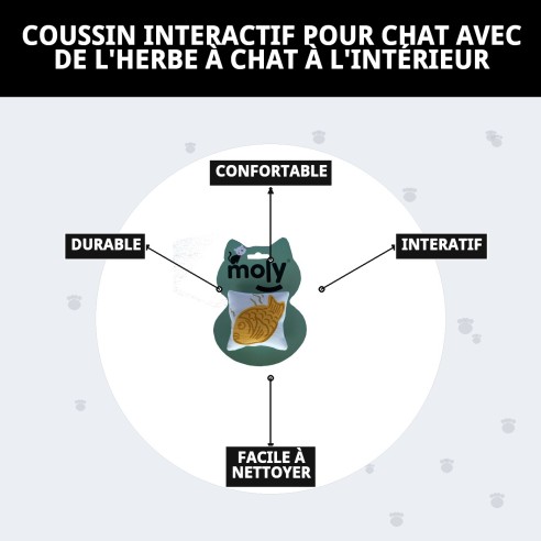 Coussin interactif pour chat avec de l'herbe à chat - Amusement garanti