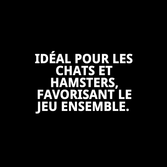 Jouet interactif pour chats et hamsters - Collection Printemps