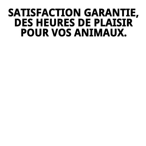 Jouet interactif pour chats et hamsters - Collection Printemps