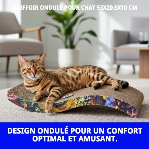 Griffoir Ondulé pour Chats 53x20,5 cm - Confort et Jeu