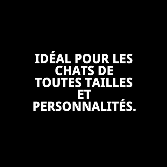 Griffoir pour chat Mod Bahamas : Style et Confort 117x55cm