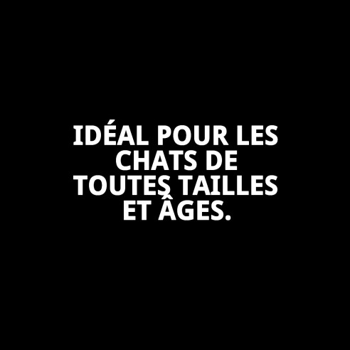 Griffoir pour chat Arbre interactif High Design 121 cm