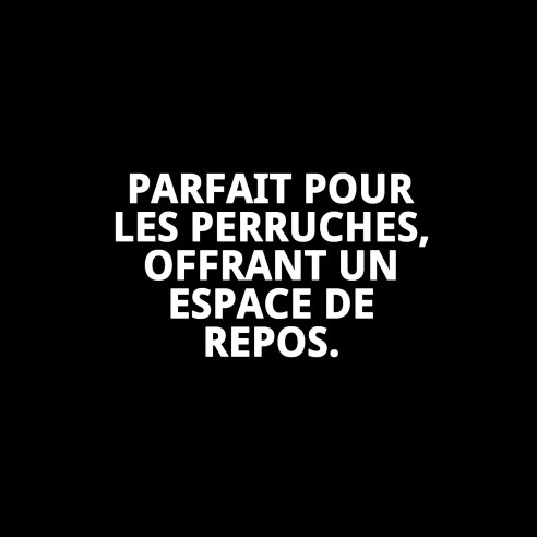 Nid en Bois pour Perruches 20x9,5x10,5 - Confort Idéal