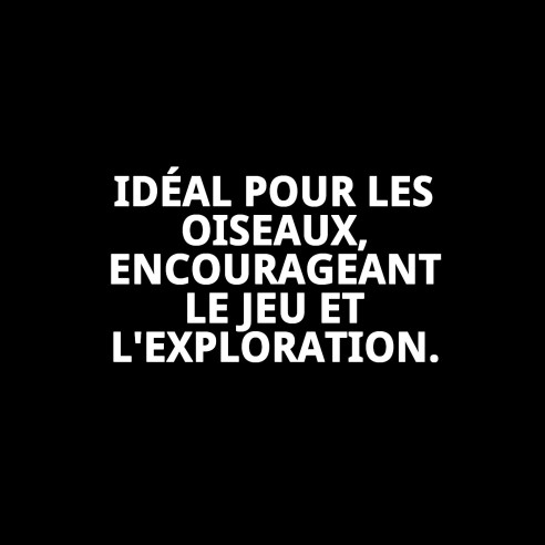 Jouet interactif pour oiseaux avec son et couleurs vives