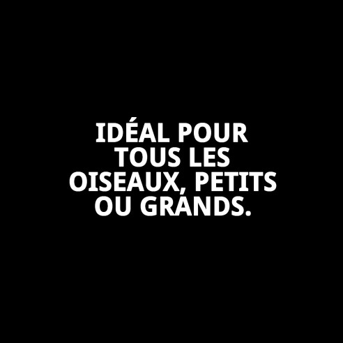 Jouet interactif en fibres naturelles pour oiseaux 15x9