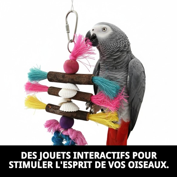 Jouets interactifs pour oiseaux - Amusement garanti