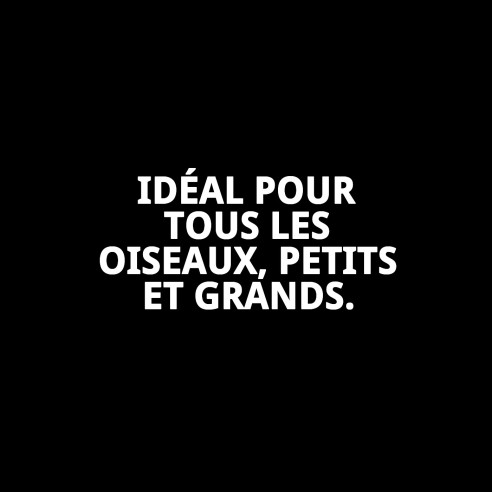 Jouets interactifs pour oiseaux - Amusement garanti