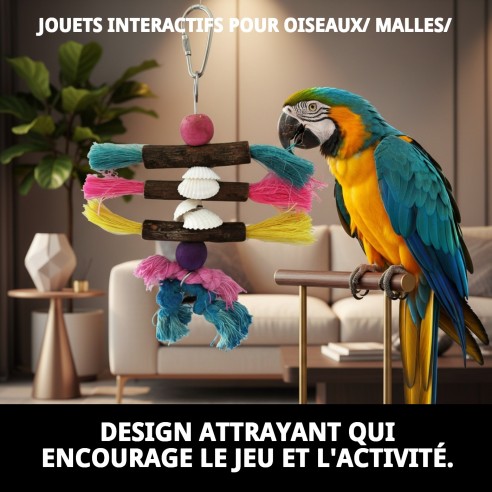 Jouets interactifs pour oiseaux - Amusement garanti