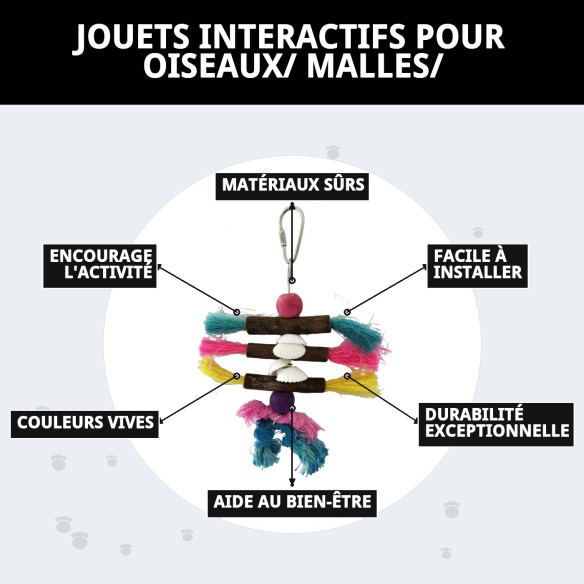 Jouets interactifs pour oiseaux - Amusement garanti