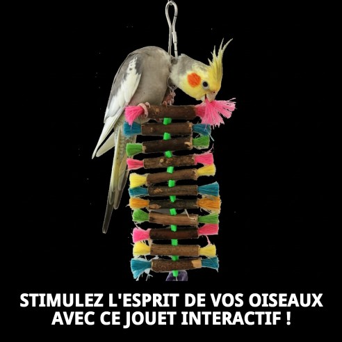 Jouet interactif Tronquitos couleurs pour oiseaux 28x1