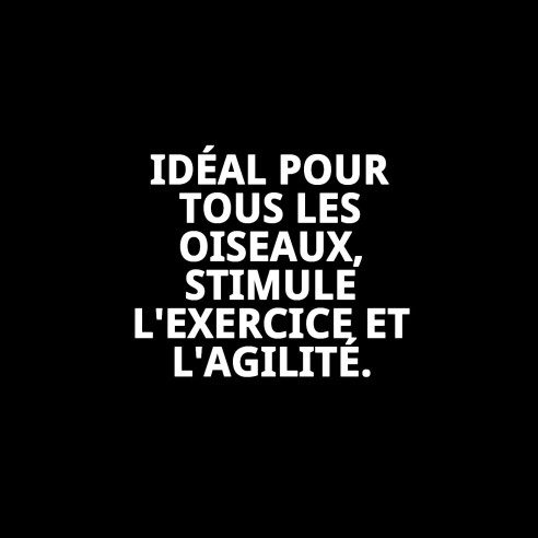 Jouet interactif échelle en bois pour oiseaux