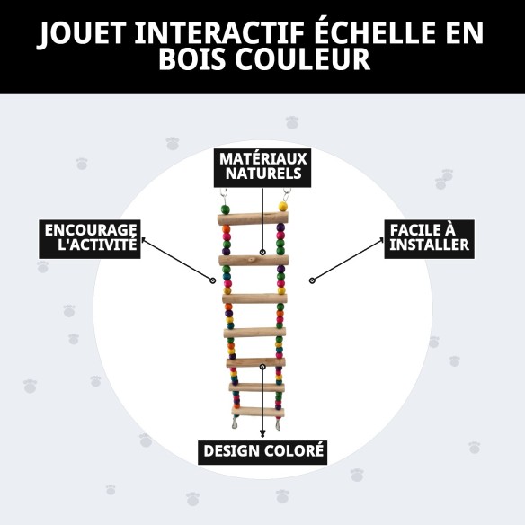 Jouet interactif échelle en bois pour oiseaux