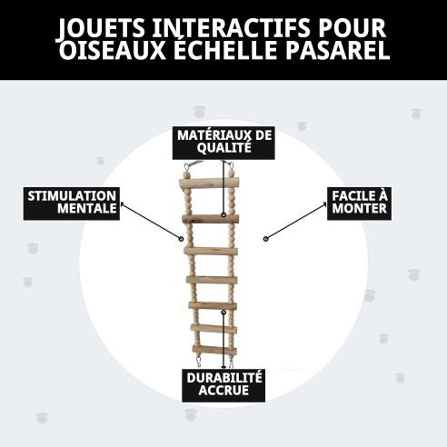 Jouet Interactif Échelle Passerelle pour Oiseaux