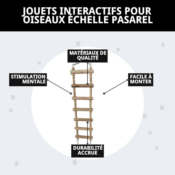 Jouet Interactif Échelle Passerelle pour Oiseaux