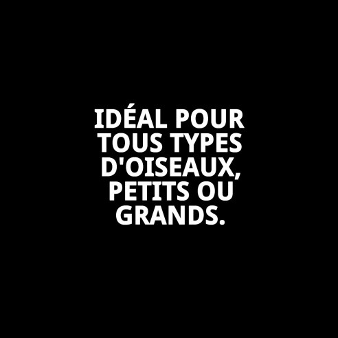 Jouet interactif pour oiseaux : tour avec son