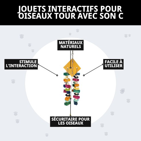 Jouet interactif pour oiseaux : tour avec son
