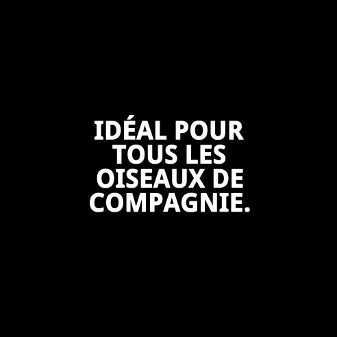 Jouet interactif Coco/Fibres/Coquillages pour oiseaux | Moly