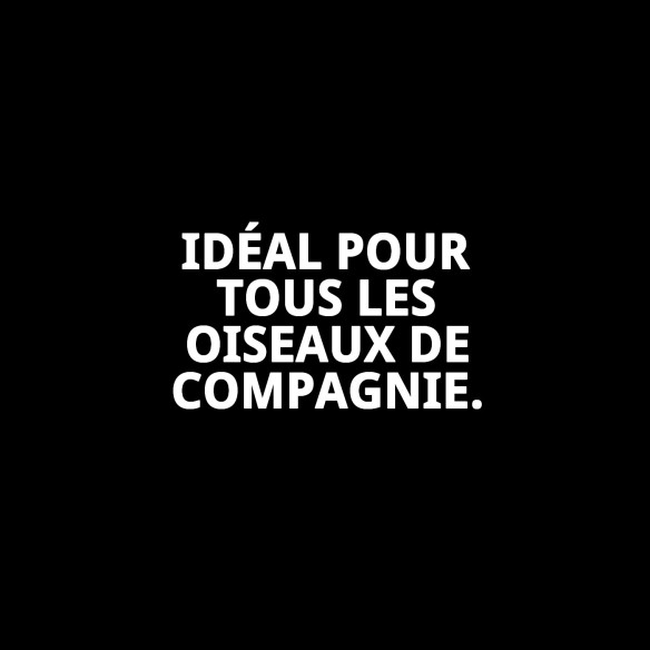 Jouet interactif Coco/Fibres/Coquillages pour oiseaux | Moly