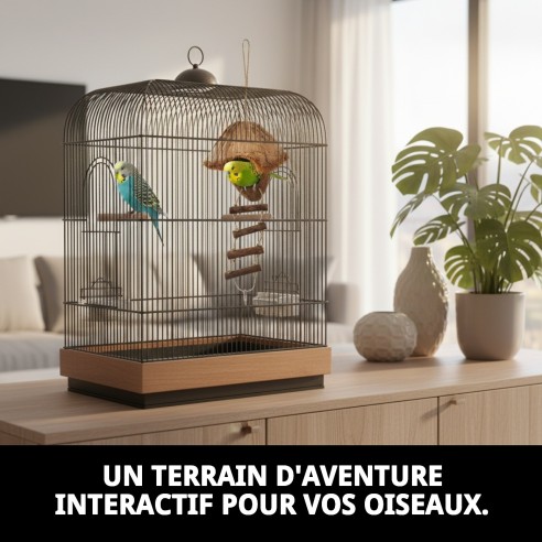 Jouet interactif Maison Coco pour oiseaux - Amusement garanti