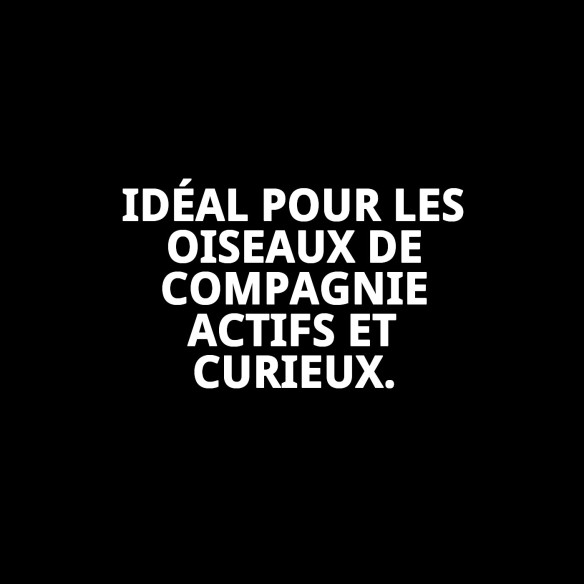 Jouet interactif Maison Coco pour oiseaux - Amusement garanti