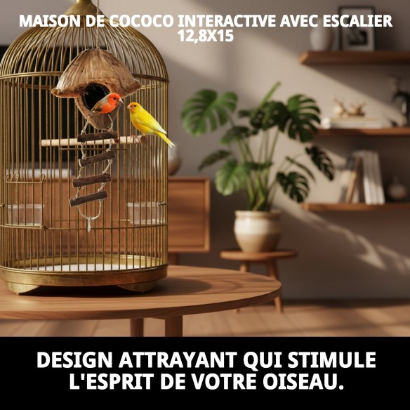 Jouet interactif Maison Coco pour oiseaux - Amusement garanti