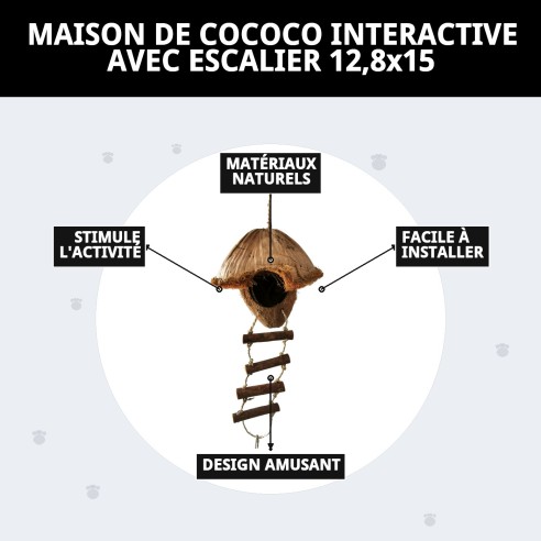 Jouet interactif Maison Coco pour oiseaux - Amusement garanti