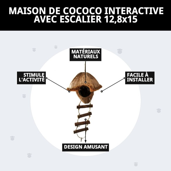 Jouet interactif Maison Coco pour oiseaux - Amusement garanti
