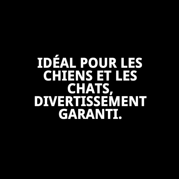 Jouet interactif avec son pour animaux de compagnie 8x18 cm