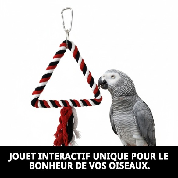 Jouet Interactif Triangulaire pour Oiseaux - Moly