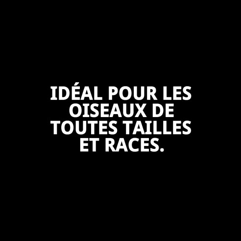 Jouet Interactif Triangulaire pour Oiseaux - Moly