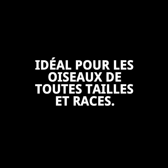 Jouet Interactif Triangulaire pour Oiseaux - Moly