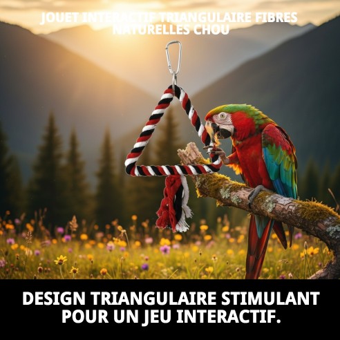 Jouet Interactif Triangulaire pour Oiseaux - Moly