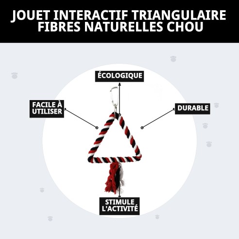 Jouet Interactif Triangulaire pour Oiseaux - Moly