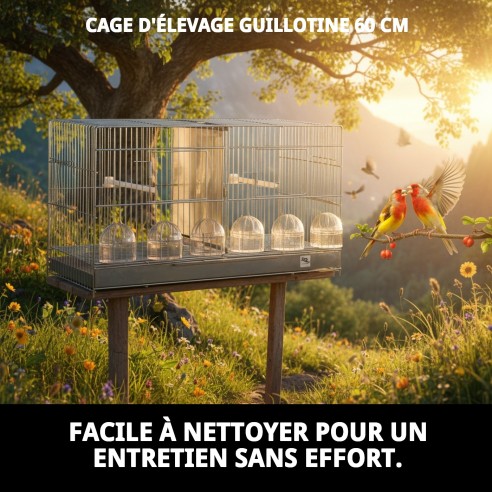 Jaulón de Cría Guillot 60 cm : Confort et Style pour Animaux de Compagnie