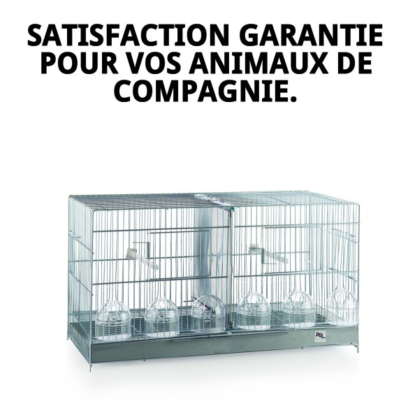 Jaulón de Cría Guillot 60 cm : Confort et Style pour Animaux de Compagnie