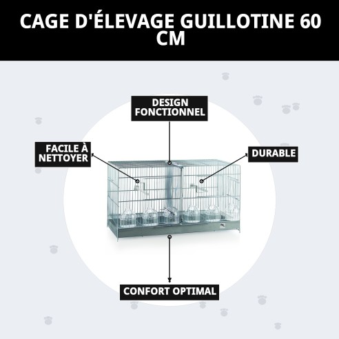 Jaulón de Cría Guillot 60 cm : Confort et Style pour Animaux de Compagnie