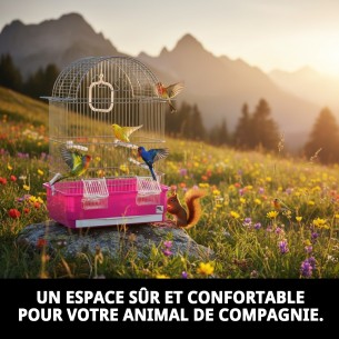 Cage Rec. 35,5x51x21 cm : Confort et Style pour Animaux de Compagnie 2