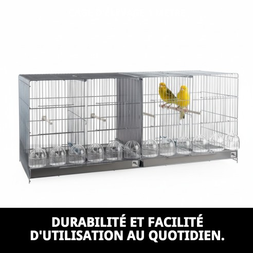 Cage de reproduction 1 mètre : Confort et sécurité pour vos animaux de compagnie.