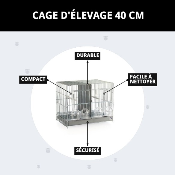 Jaulón de Cría 40 cm - Confort et Sécurité pour vos Animaux de Compagnie