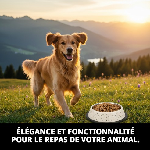 Bol en Acier Inoxydable Moly 16 cm - Antidérapant