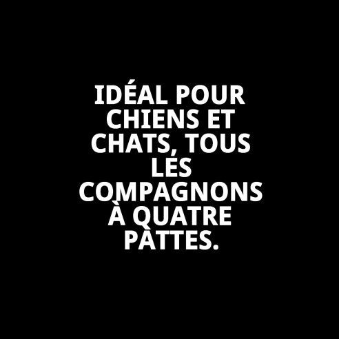 Bol en Acier Inoxydable Moly 16 cm - Antidérapant