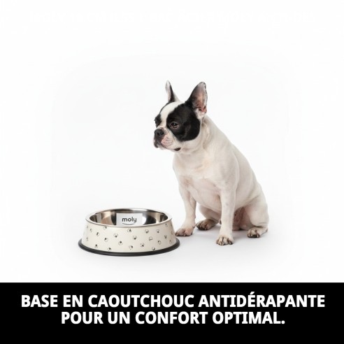 Bol en Acier Inoxydable Moly 16 cm - Antidérapant