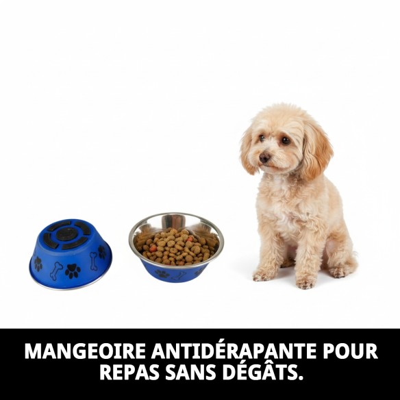 Bol anti-dérapant en acier inoxydable 10 cm | Moly