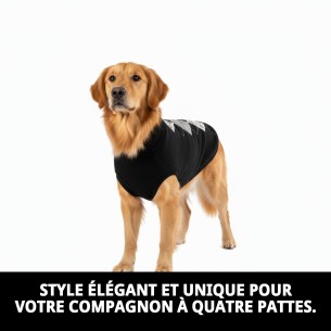 Pull design losanges 45 cm pour votre animal de compagnie élégant et confortable. 2
