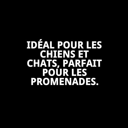 Pull design losanges 45 cm pour votre animal de compagnie élégant et confortable.